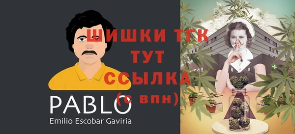 COCAINE Богданович