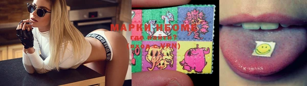 тгк Богородицк