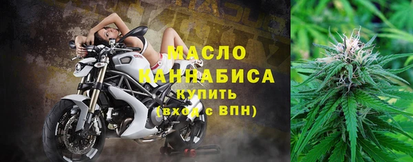 тгк Богородицк