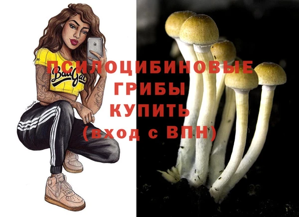 COCAINE Богданович