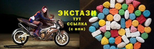 тгк Богородицк
