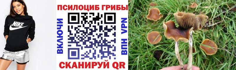 закладка  Костомукша  блэк спрут сайт  Псилоцибиновые грибы Cubensis 